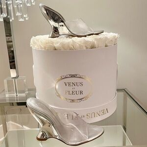 NWT SCHUTZ CLEAR LUCITE WEDGES